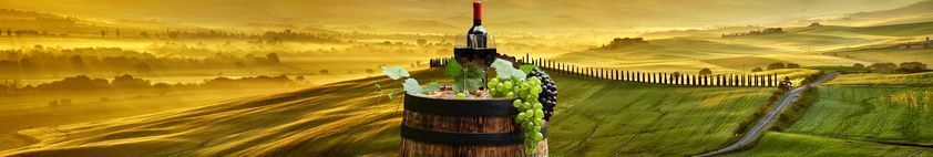 Wine Shipper partout en France et à l'Internationnal Wine Shipper partout en France et à l'Internationnal